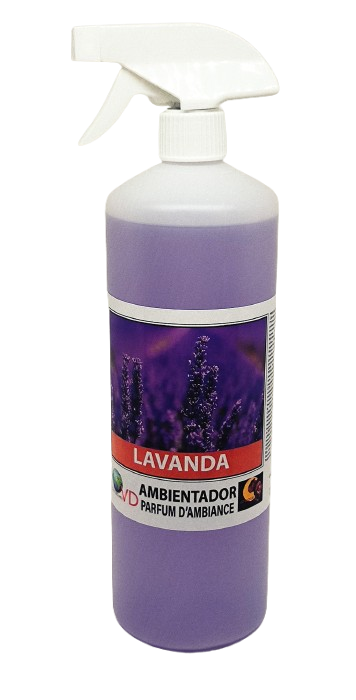LAVANDA